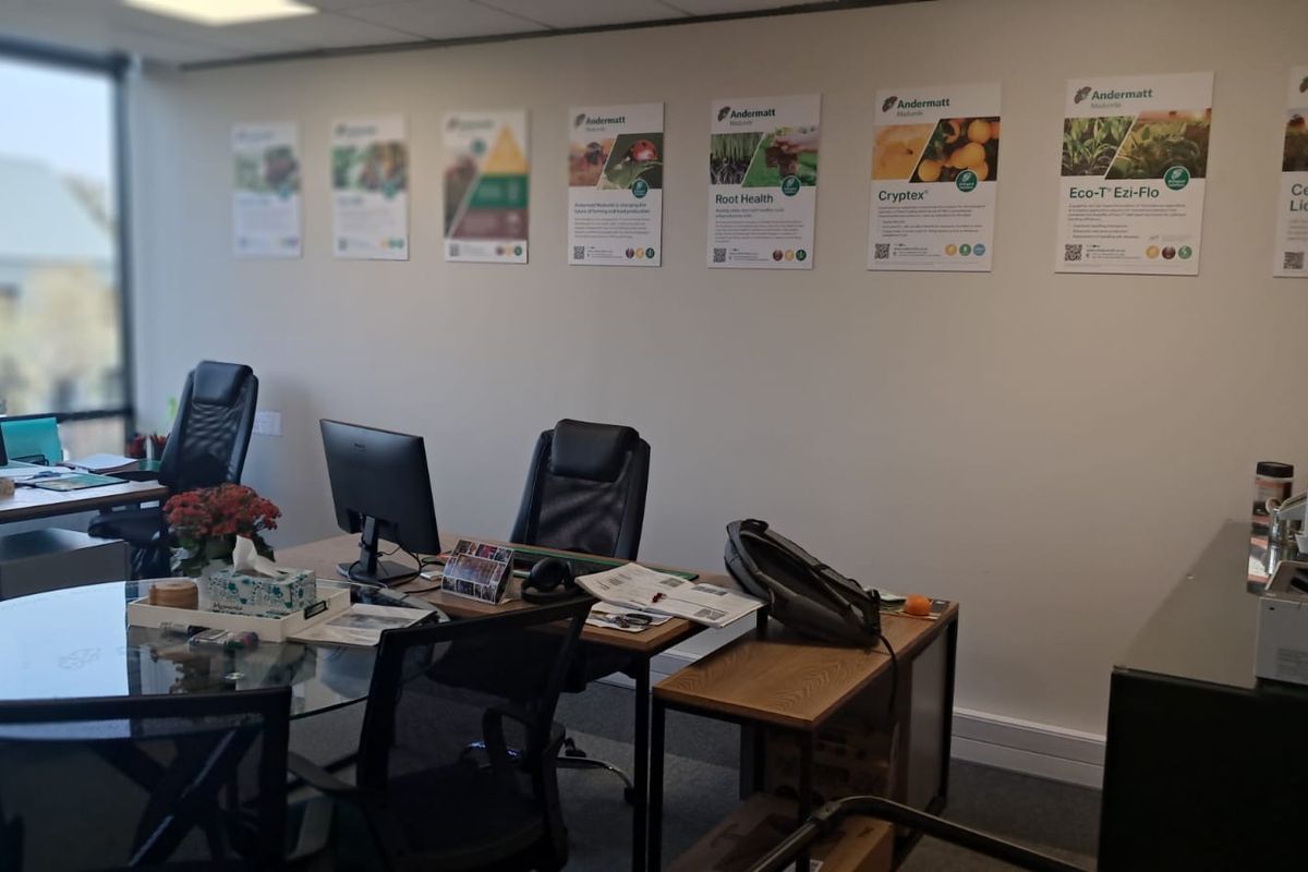 Services Office TO LET in Irene - Photo 5