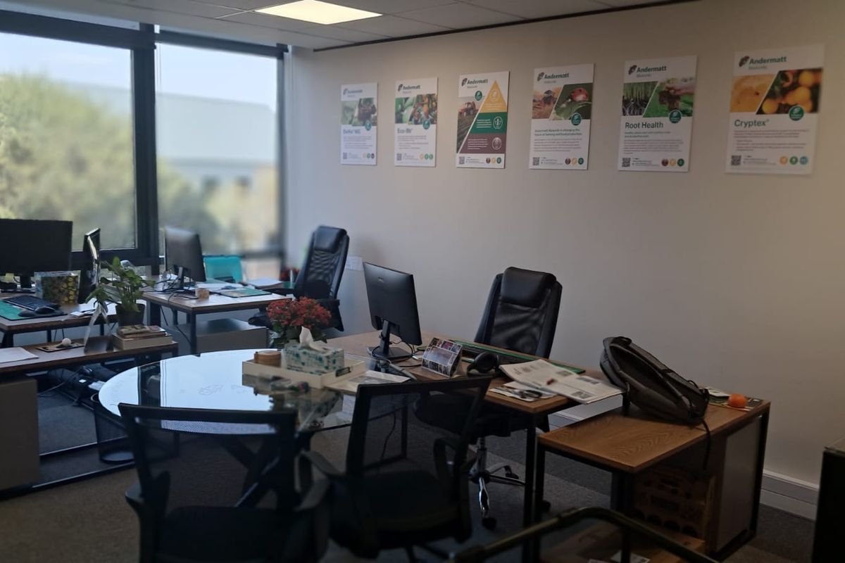 A functional office space featuring large windows for natural light, recessed ceiling lighting, and carpeted flooring, suitable for a professional work environment.