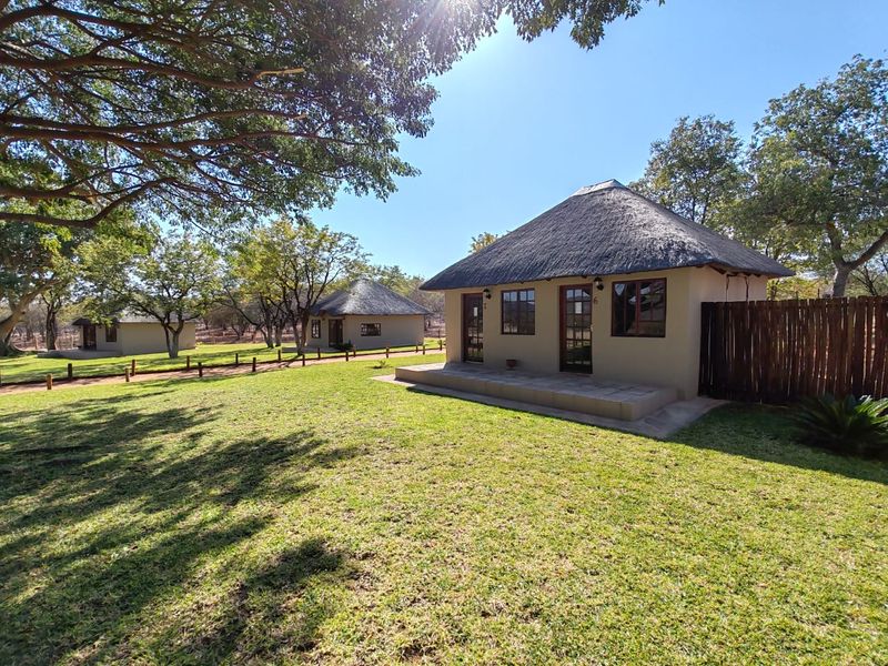 MAGICAL LUXURY HUNTING LODGE IN MOPANE BACKVELD - Photo 3