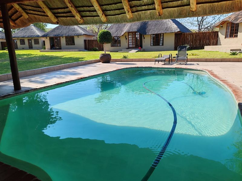 MAGICAL LUXURY HUNTING LODGE IN MOPANE BACKVELD - Photo 10