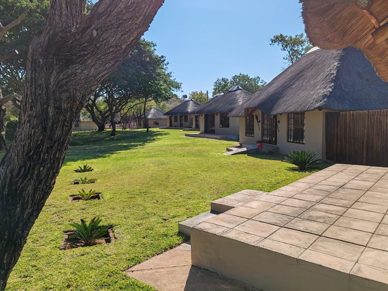 MAGICAL LUXURY HUNTING LODGE IN MOPANE BACKVELD - Photo 7