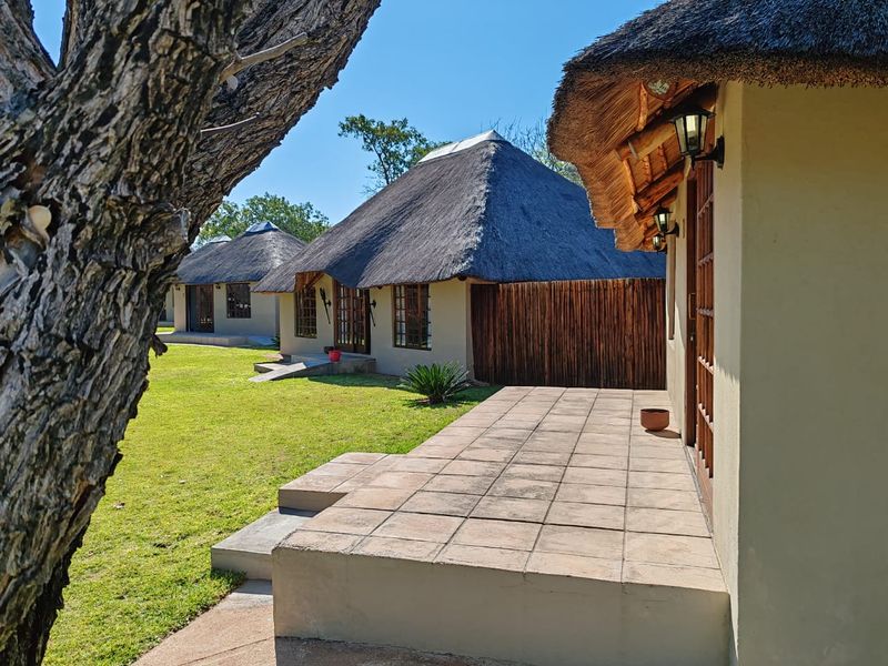 MAGICAL LUXURY HUNTING LODGE IN MOPANE BACKVELD - Photo 6