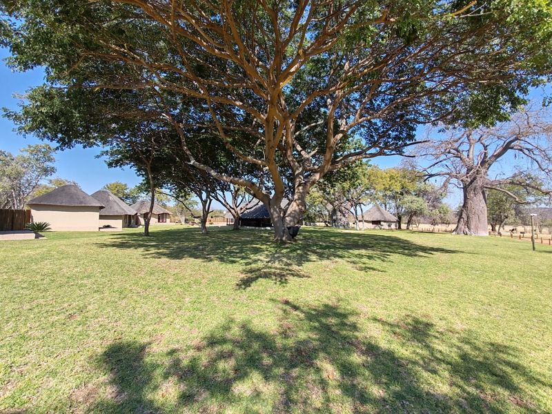 MAGICAL LUXURY HUNTING LODGE IN MOPANE BACKVELD - Photo 5