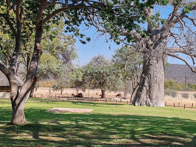 MAGICAL LUXURY HUNTING LODGE IN MOPANE BACKVELD - Photo 9