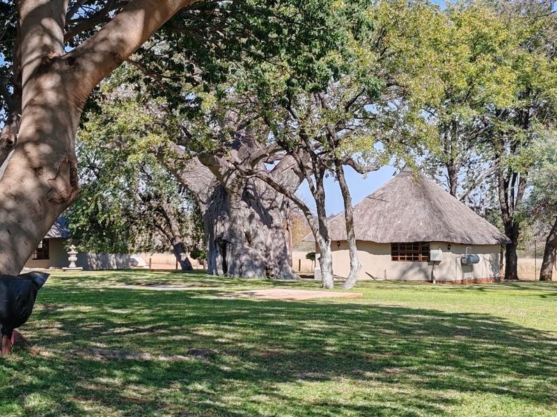 MAGICAL LUXURY HUNTING LODGE IN MOPANE BACKVELD - Photo 4