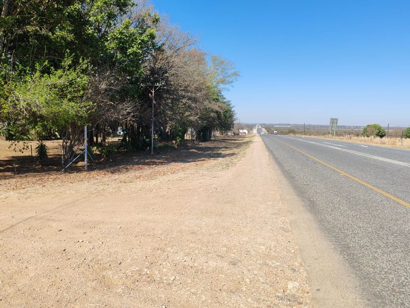 A view of the public road and gravel verge adjacent to the property boundary, featuring established trees and perimeter fencing.