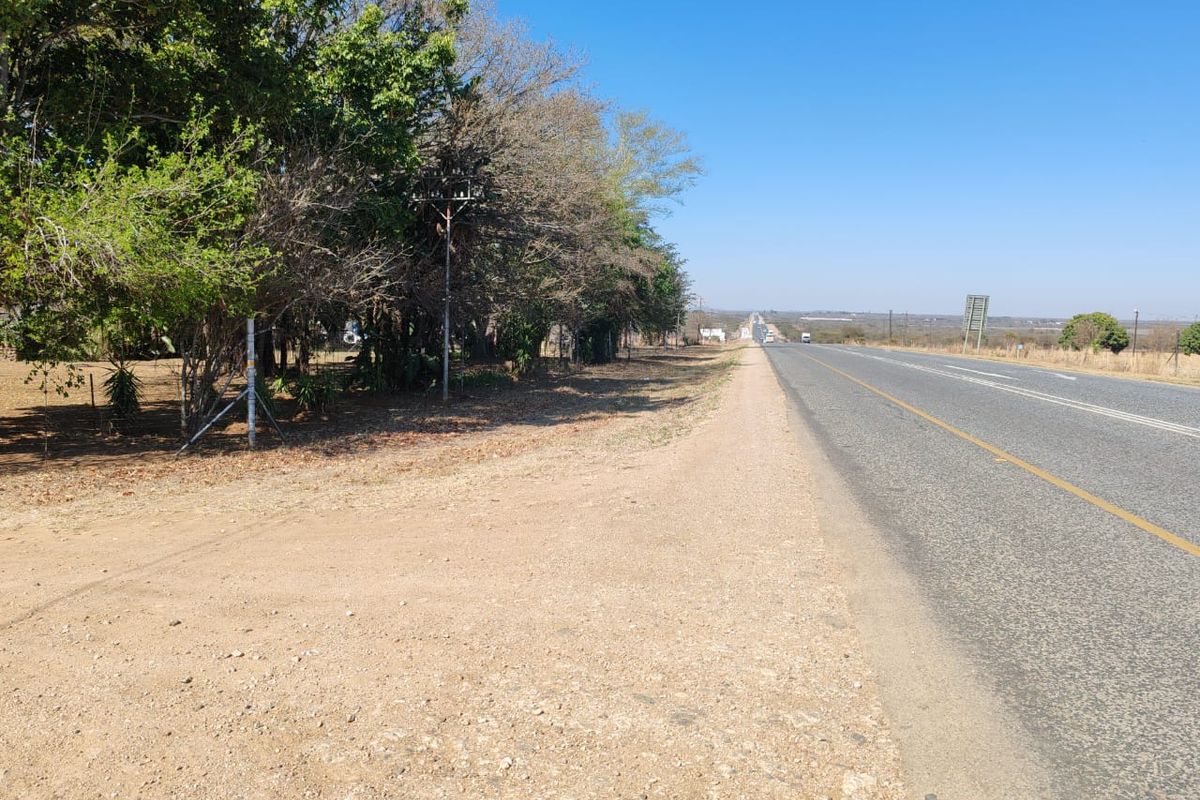A view of the public road and gravel verge adjacent to the property boundary, featuring established trees and perimeter fencing.