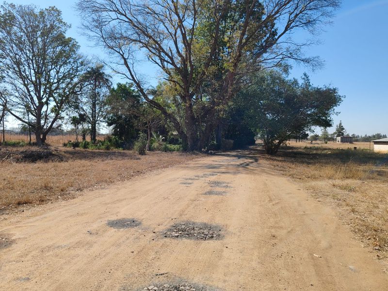 A view of an unpaved farm access road featuring visible potholes and surrounding mature trees.