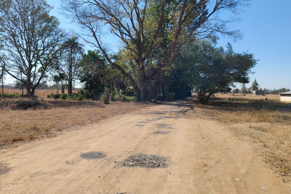 A view of an unpaved farm access road featuring visible potholes and surrounding mature trees.