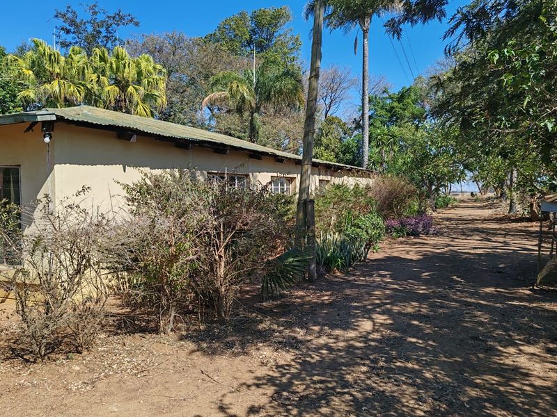 Side view of a farm dwelling featuring a corrugated metal roof and timber window frames, surrounded by established trees and natural landscaping.