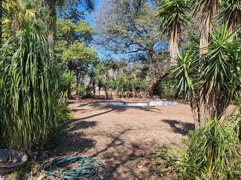 An outdoor pool area featuring an empty swimming pool set within a large, dry, and overgrown garden landscape.