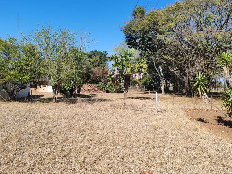 A spacious, dry garden area on the farm property featuring mature trees, palm specimens, and a stone retaining wall boundary.
