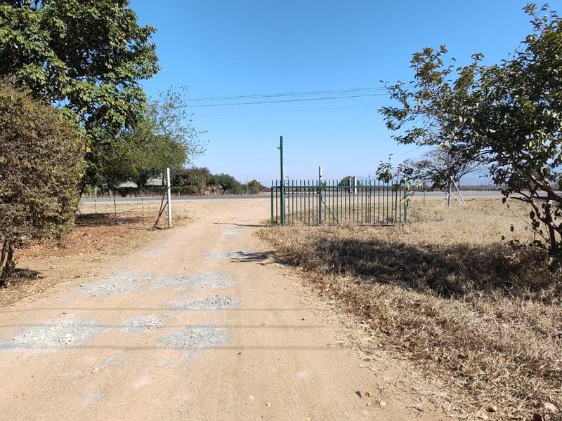 A view of the property entrance featuring a dirt driveway, metal gate, and perimeter fencing leading towards the main road.
