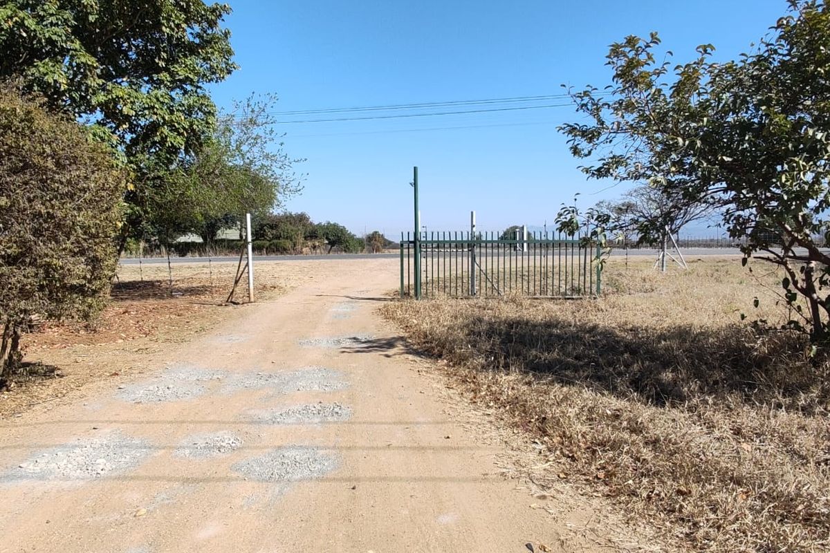 A view of the property entrance featuring a dirt driveway, metal gate, and perimeter fencing leading towards the main road.