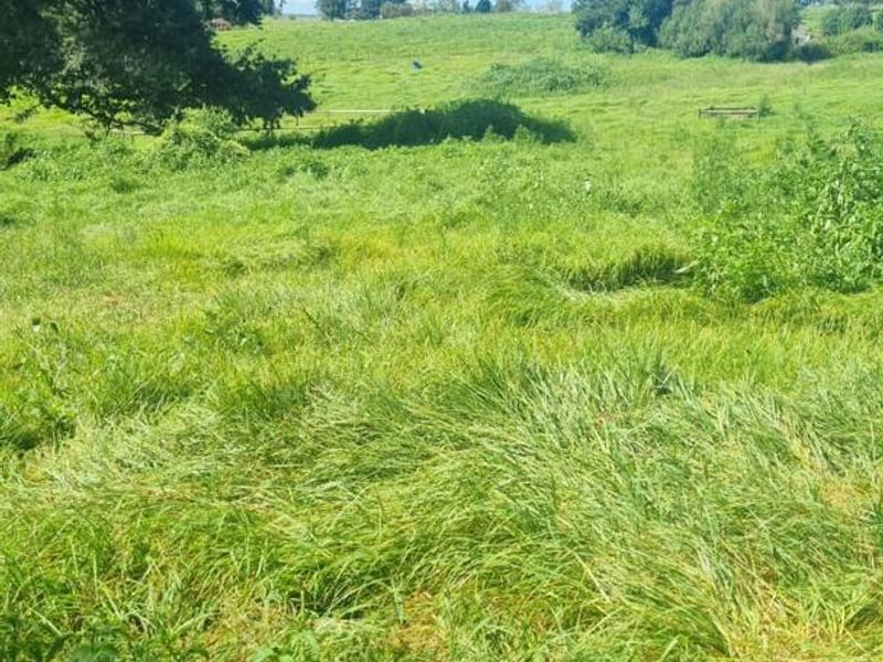 MIDLANDS SMALLHOLDING - 5 ha - Large family home was formerly a Guest house / Restuarant. - Photo 9