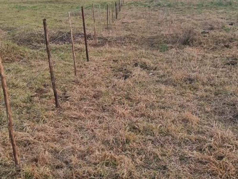 MIDLANDS SMALLHOLDING - 5 ha - Large family home was formerly a Guest house / Restuarant. - Photo 8