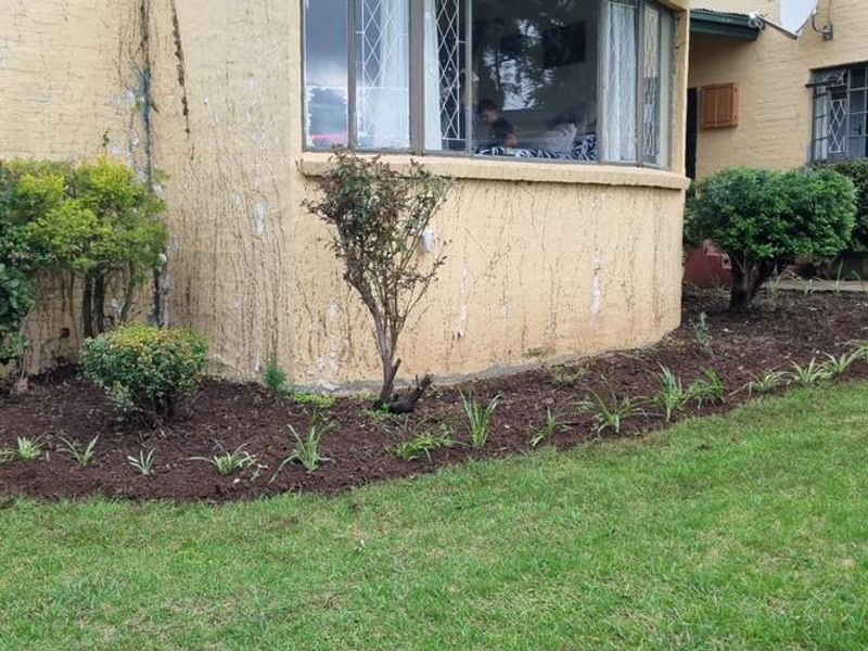 MIDLANDS SMALLHOLDING - 5 ha - Large family home was formerly a Guest house / Restuarant. - Photo 6