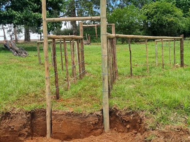 MIDLANDS SMALLHOLDING - 5 ha - Large family home was formerly a Guest house / Restuarant. - Photo 5