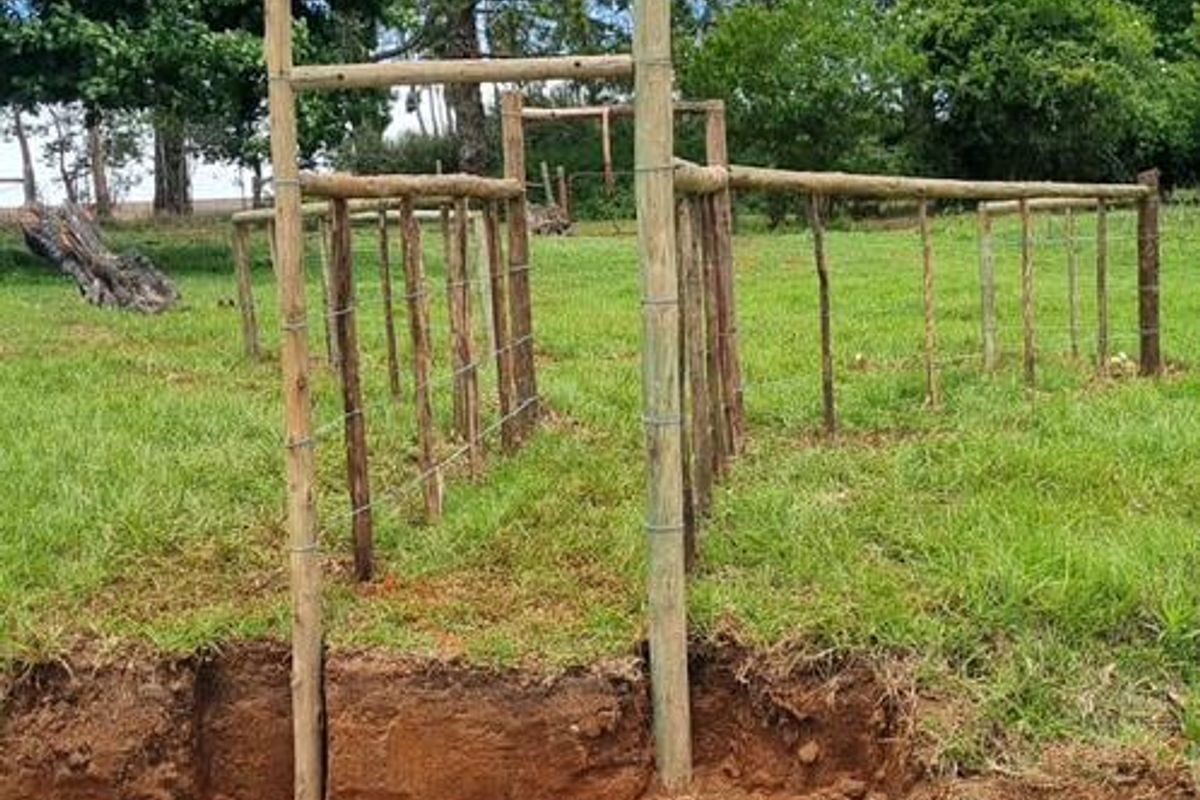 MIDLANDS SMALLHOLDING - 5 ha - Large family home was formerly a Guest house / Restuarant. - Photo 5