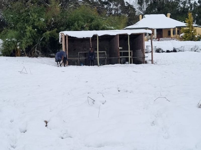 MIDLANDS SMALLHOLDING - 5 ha - Large family home was formerly a Guest house / Restuarant. - Photo 3