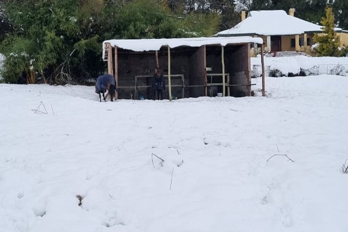 MIDLANDS SMALLHOLDING - 5 ha - Large family home was formerly a Guest house / Restuarant. - Photo 3