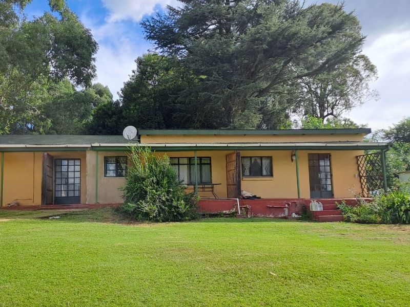 MIDLANDS SMALLHOLDING - 5 ha - Large family home was formerly a Guest house / Restuarant. - Photo 10