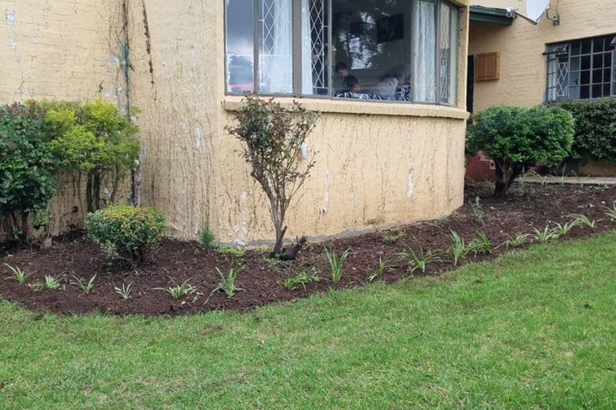 Rear exterior view of the property featuring a bay window and garden beds, showing signs of weathered exterior paint and plaster.