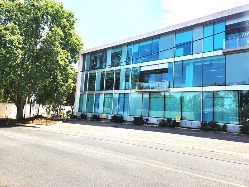 1182.5sqm Offices to let in Illovo - Photo 1