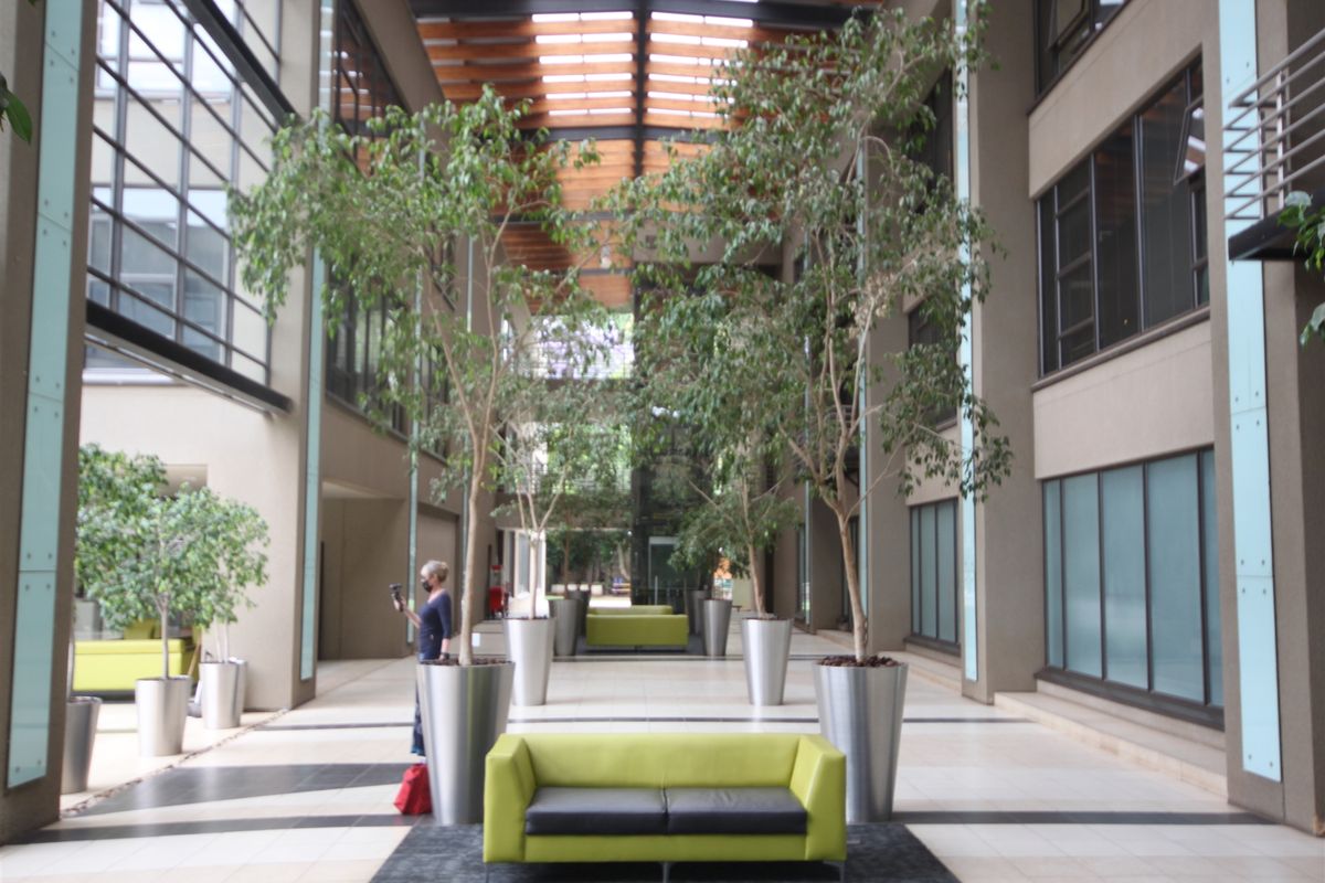 618sqm Office to Let in Illovo - Photo 2