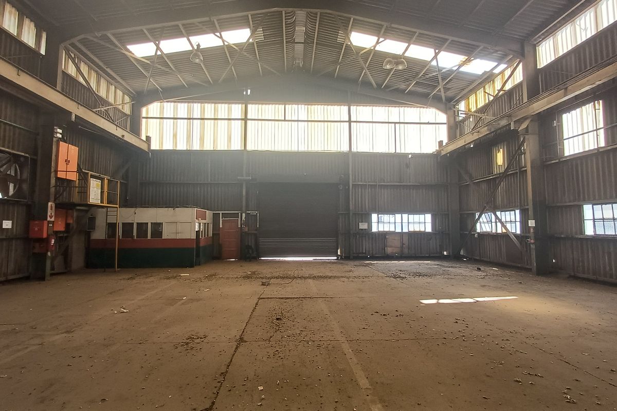 Spacious industrial warehouse featuring high ceilings, concrete flooring, large roller shutter access, and natural light through integrated skylights.