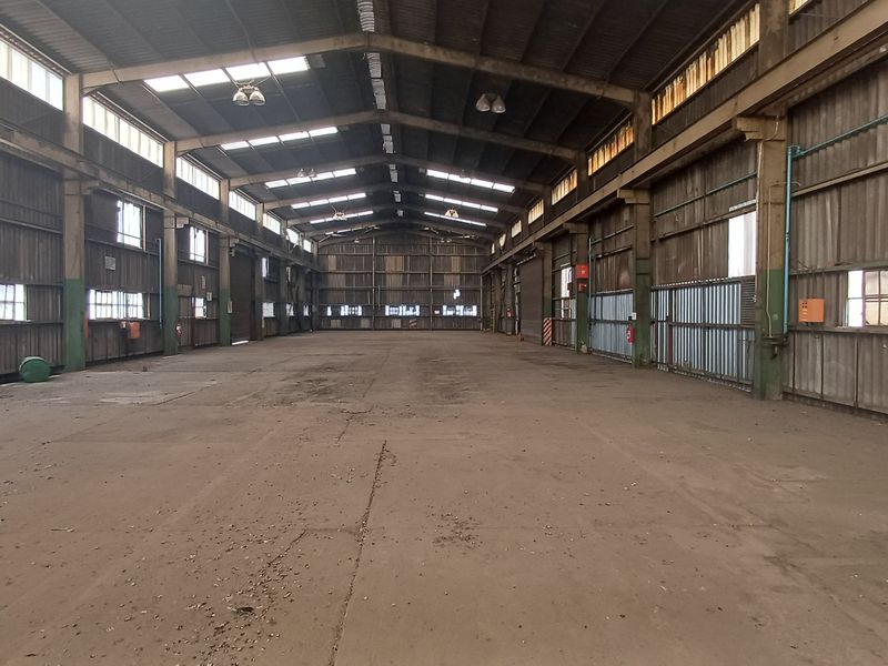 Expansive industrial warehouse space featuring a high-clearance steel portal frame, concrete flooring, and natural light through integrated skylights.
