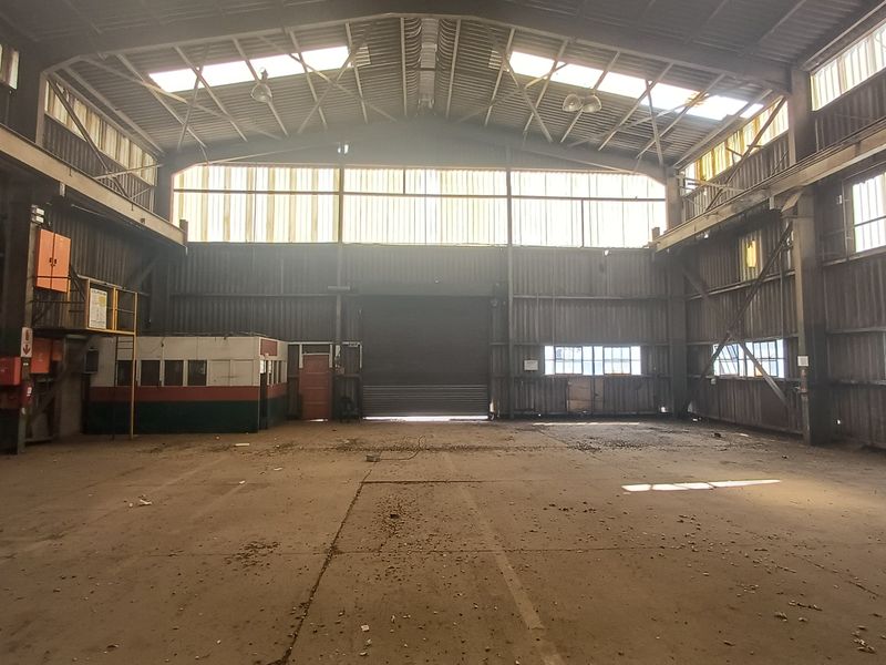 Spacious industrial warehouse featuring high ceilings, concrete flooring, large roller shutter access, and natural light through integrated skylights.