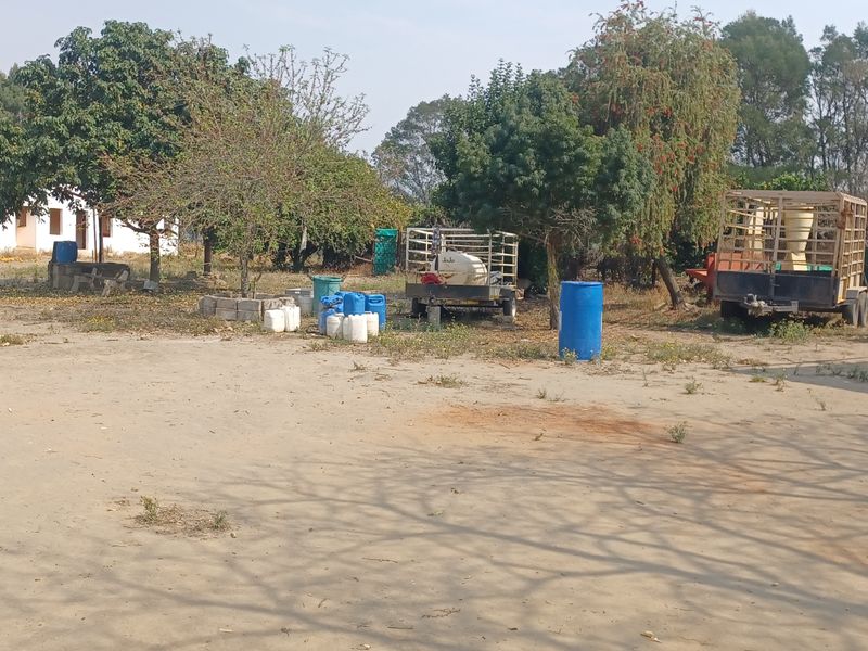 A wide view of the farm yard area featuring mature trees and open unpaved ground space.
