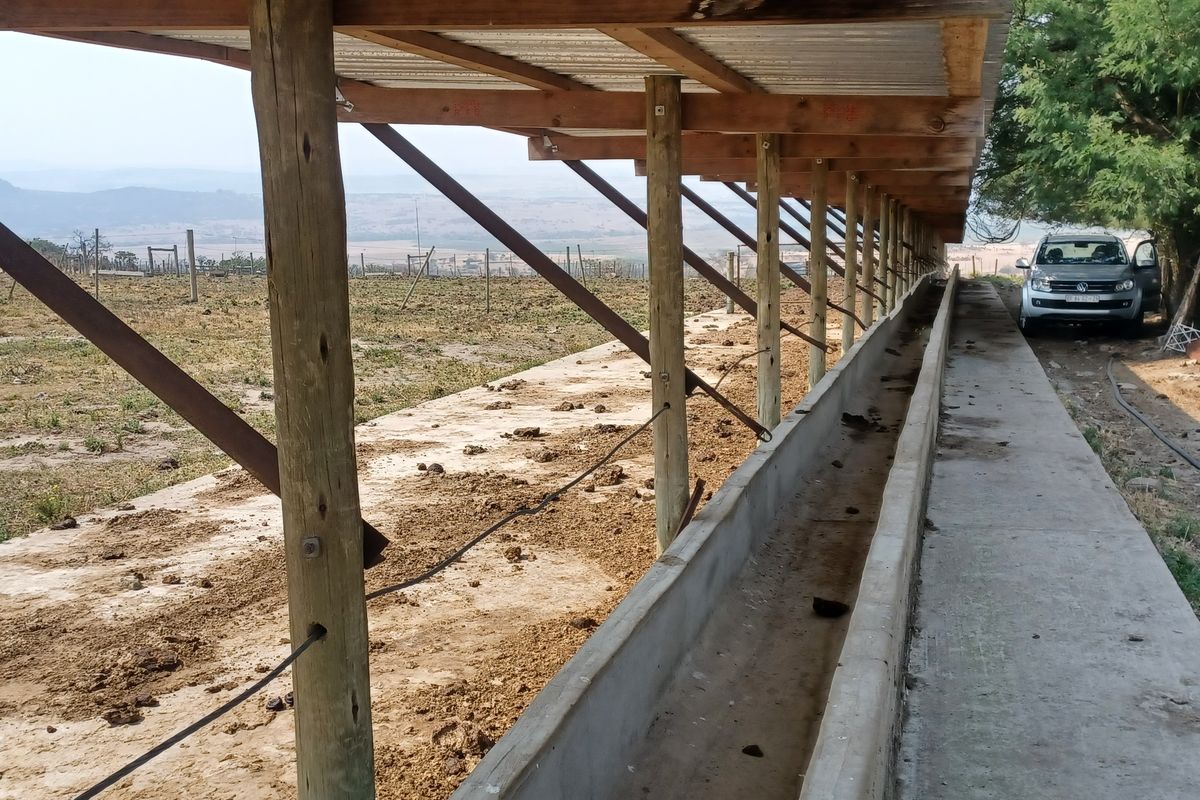 Outdoor livestock feeding area featuring a long concrete trough, timber support structure, and corrugated metal roofing on a farm property.