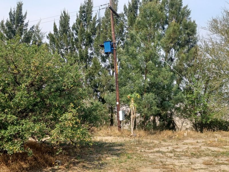 A view of the farm grounds featuring mature trees and a utility pole with an electrical transformer.
