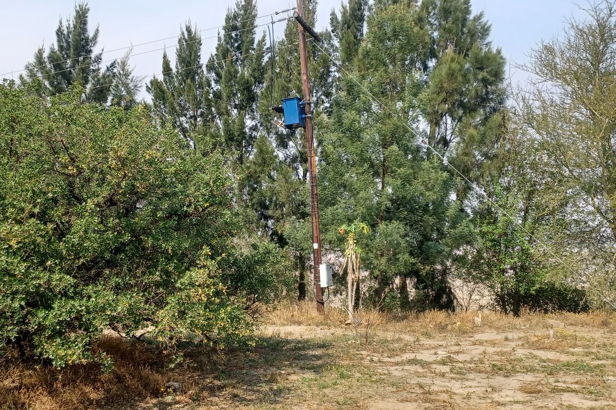 A view of the farm grounds featuring mature trees and a utility pole with an electrical transformer.