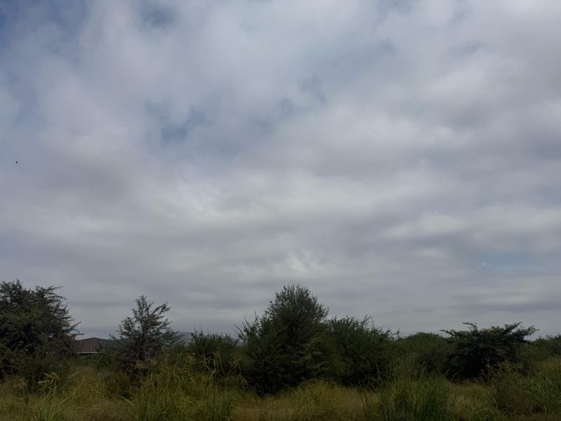 Vacant Industrial Land Up For Rent - Photo 2