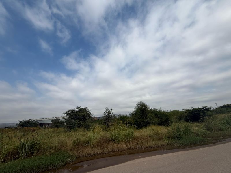 Vacant Industrial Land Up For Rent - Photo 10