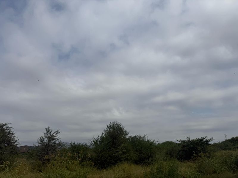 Vacant Industrial Land Up For Rent - Photo 3