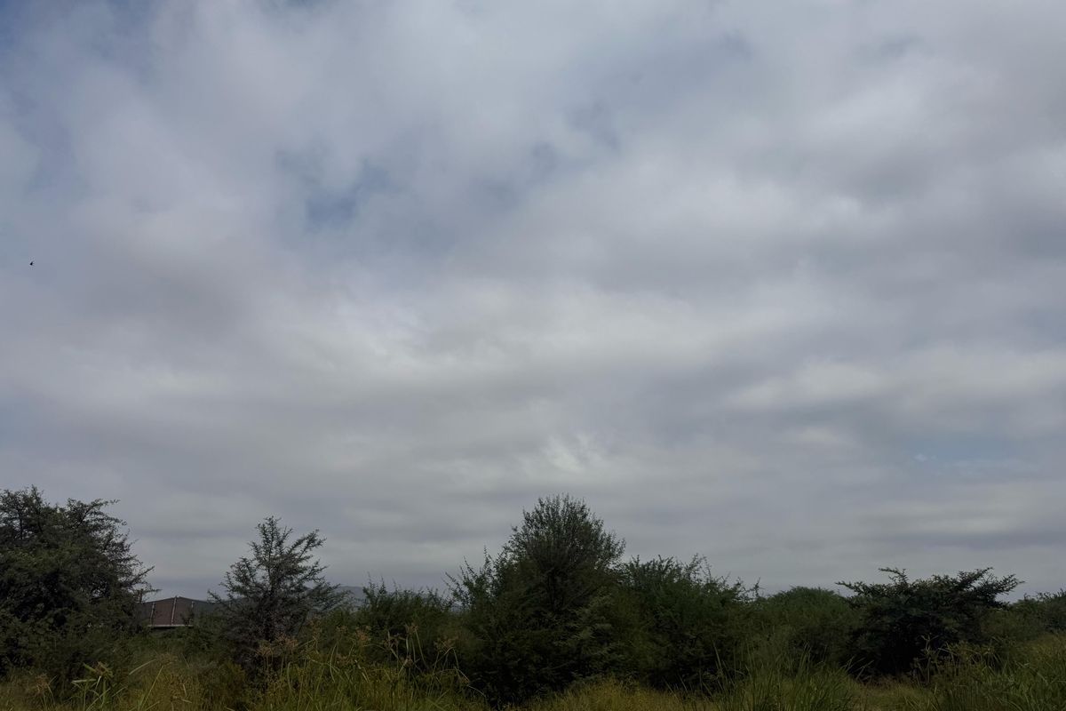 Vacant Industrial Land Up For Rent - Photo 2