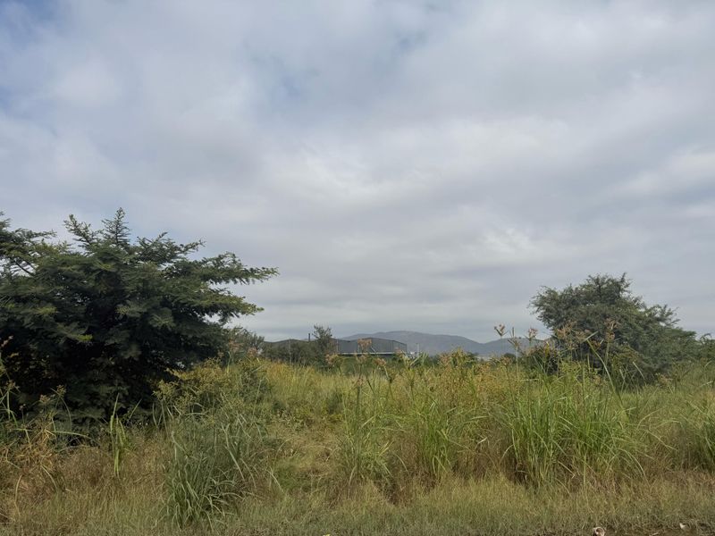 Vacant Industrial Land Up For Rent - Photo 4