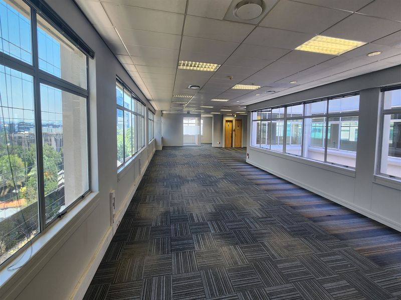 A spacious, open-plan office area featuring large windows, carpet tile flooring, and a suspended ceiling with recessed lighting.