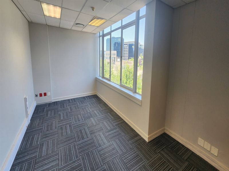 A bright, empty office space featuring carpet tiles, a suspended ceiling with recessed lighting, and large windows offering an urban view.