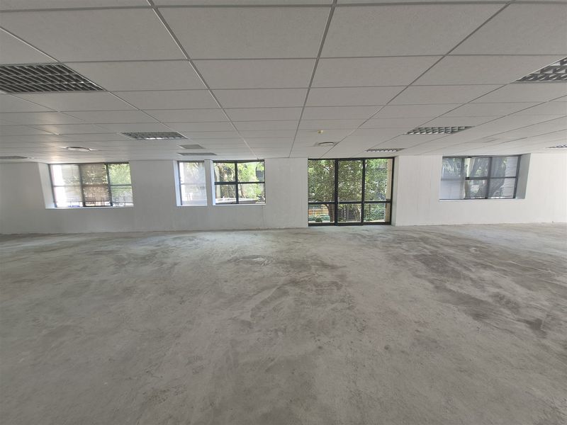 1575,97 sqm Offices to let in Illovo, Sandton - Photo 6