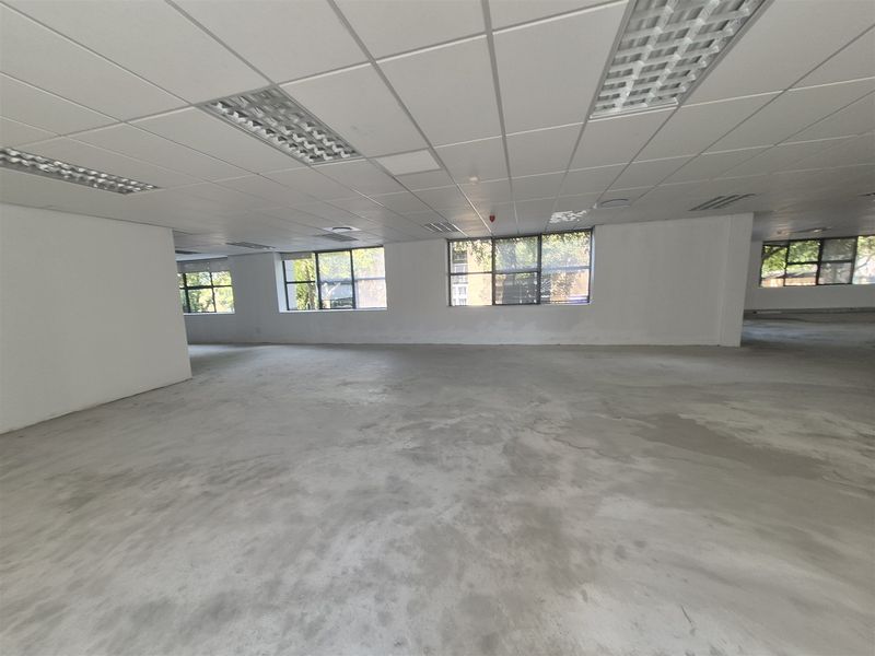 1575,97 sqm Offices to let in Illovo, Sandton - Photo 3