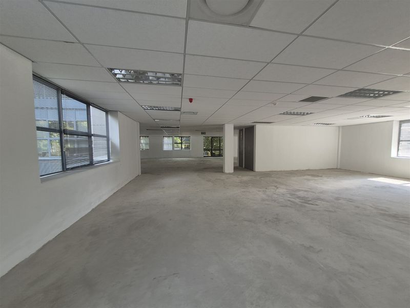 1575,97 sqm Offices to let in Illovo, Sandton - Photo 5