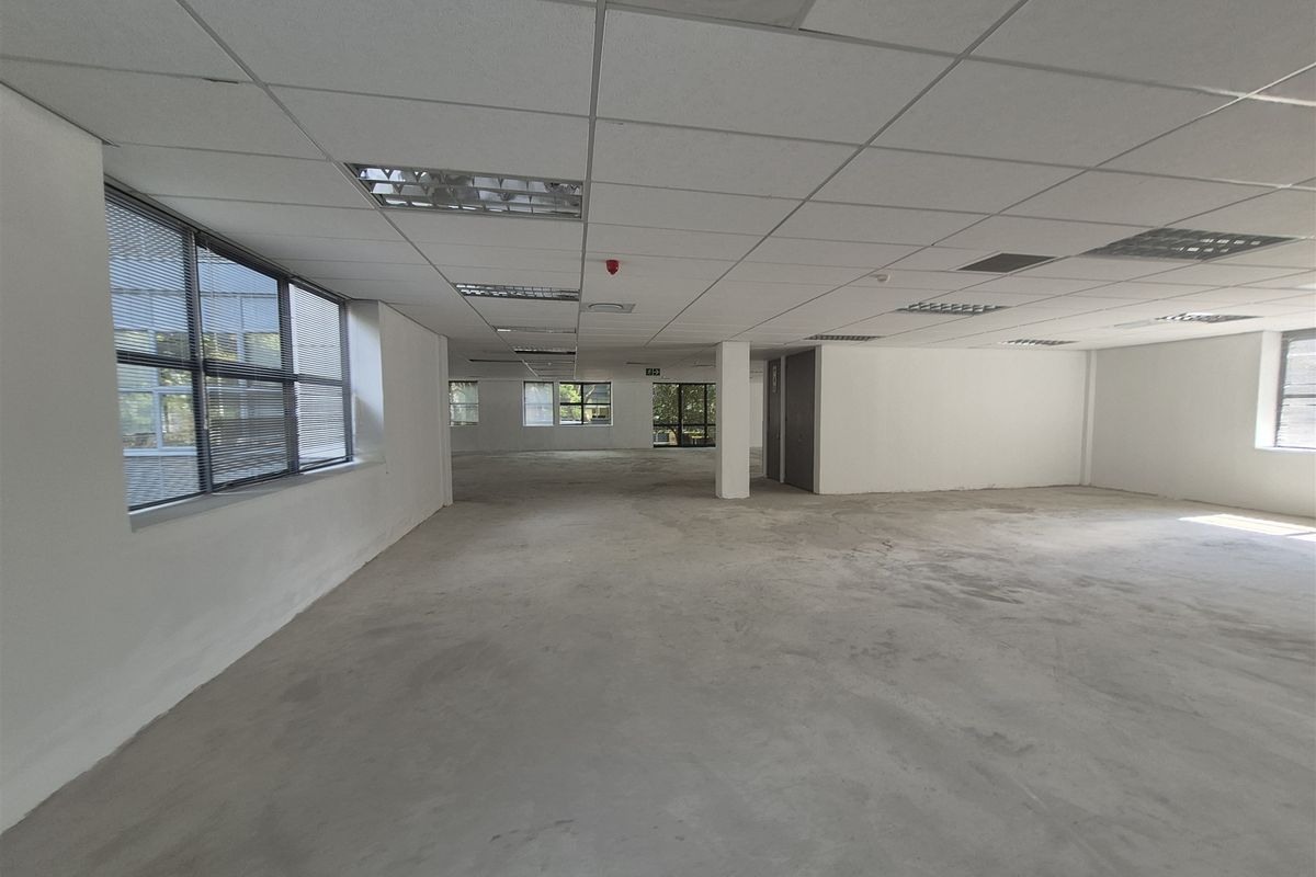 1575,97 sqm Offices to let in Illovo, Sandton - Photo 5