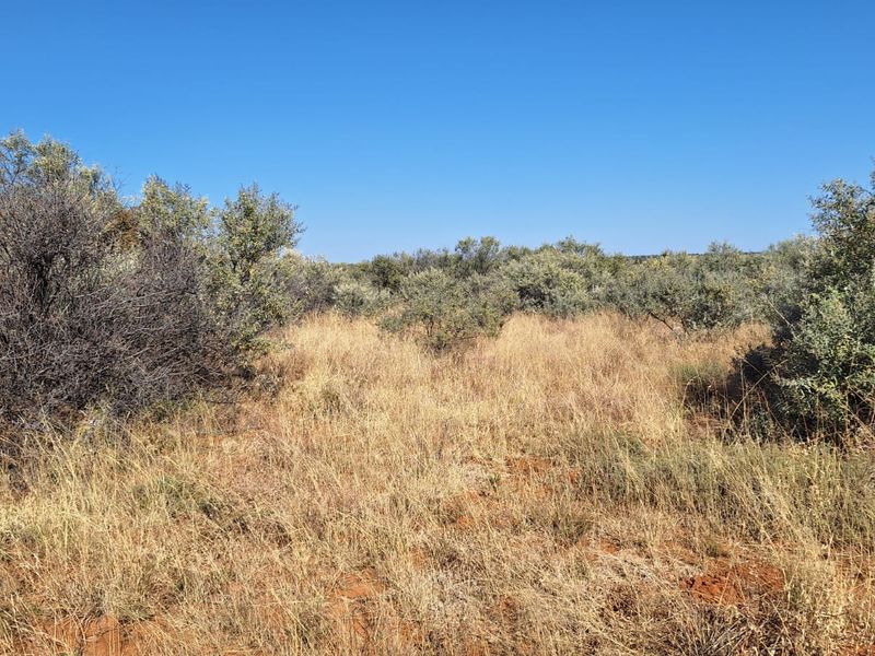 A view of the natural farm landscape featuring native shrubs and dry grass under a clear blue sky.