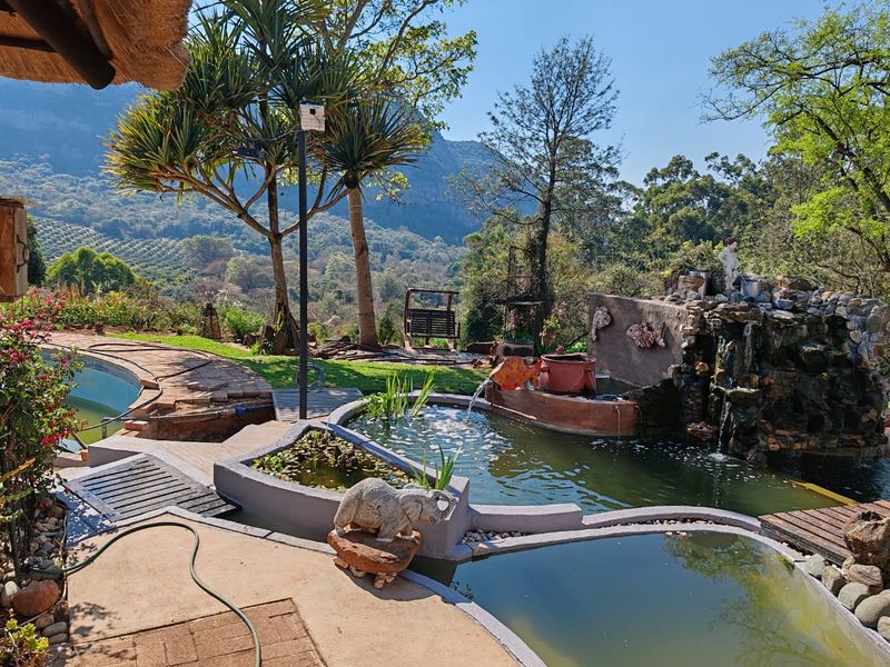 Outdoor pool area featuring a tiered water feature, stone masonry pond, and scenic mountain views in a tranquil farm setting.