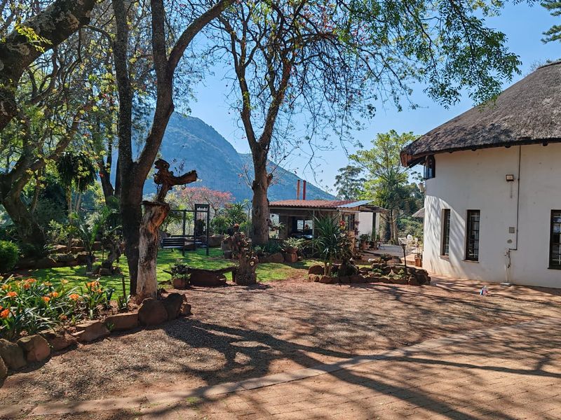 A scenic rear garden view featuring a thatched-roof building, paved driveway, and established trees with mountain views in the background.